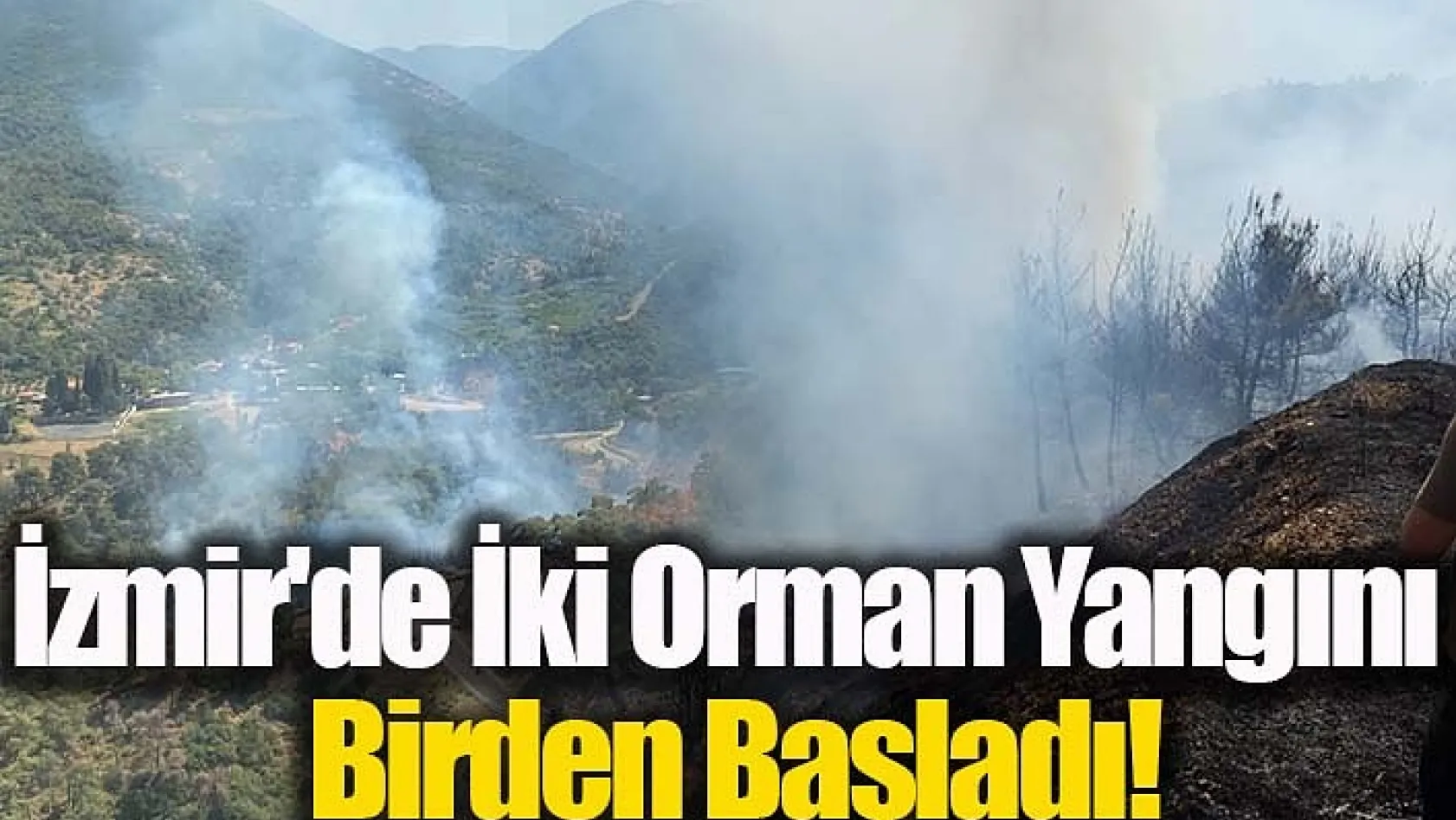 İzmir'de İki Orman Yangını Birden Başladı! Havadan Ve Karadan Müdahale Ediliyor