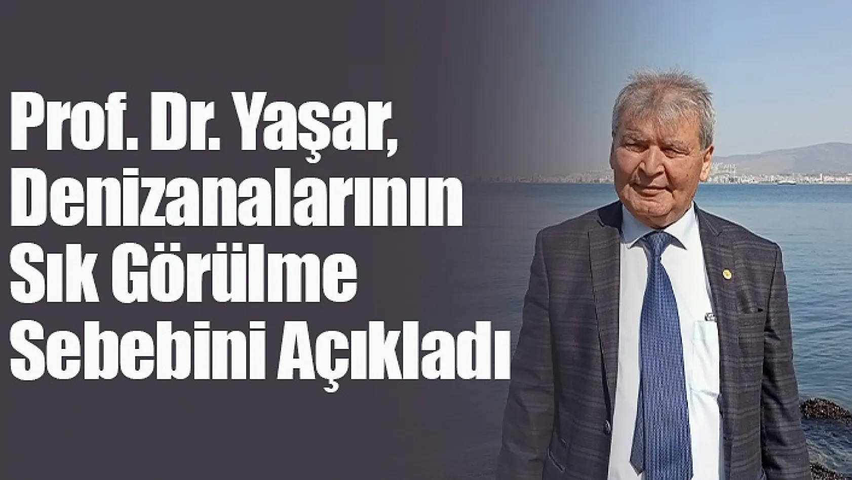 Prof. Dr. Yaşar, Denizanalarının Sık Görülme Sebebini Açıkladı