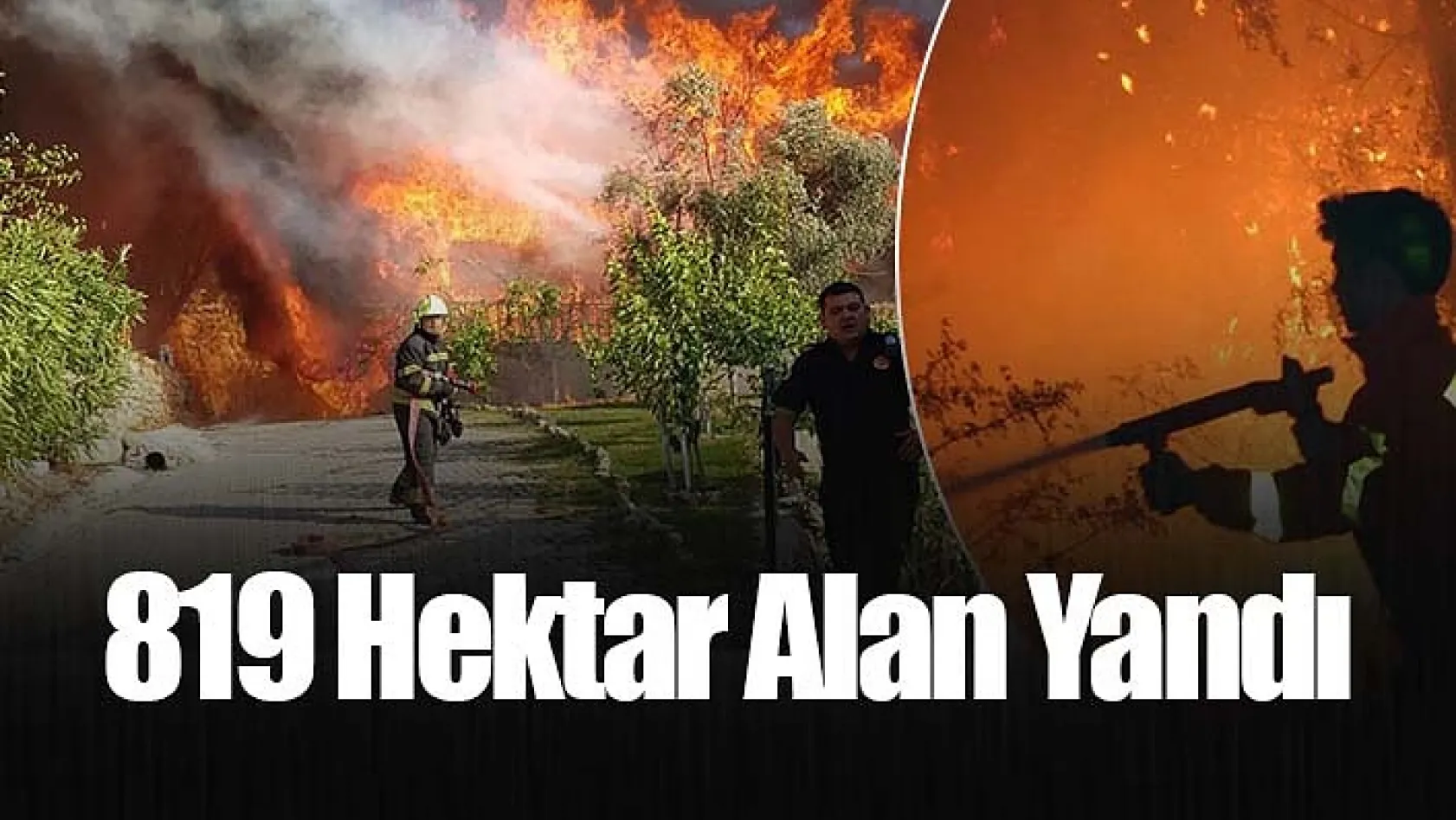 Aydın ve Muğla'da 819 hektar alan yandı