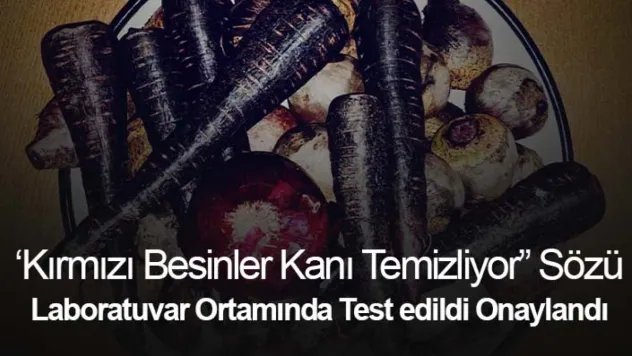 'Kırmızı besinler kanı temizliyor' sözü laboratuvar ortamında test edildi onaylandı