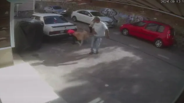 İzmir'de sevdiği köpeğin saldırısına uğrayan çocuk yaralandı