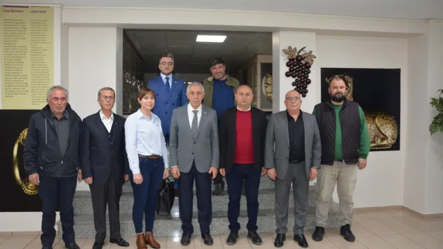 Salihli Zeytinyağı'na Coğrafi İşaret İçin Harekete Geçildi