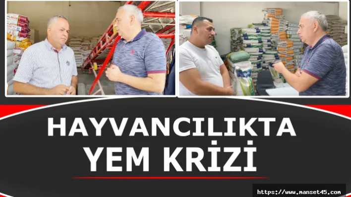 Hayvancılıkta Yem Krizi