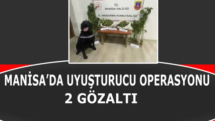 Manisa'da Uyuşturucu Operasyonu: 2 Gözaltı