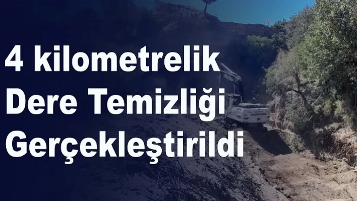 4 kilometrelik dere temizliği gerçekleştirdi