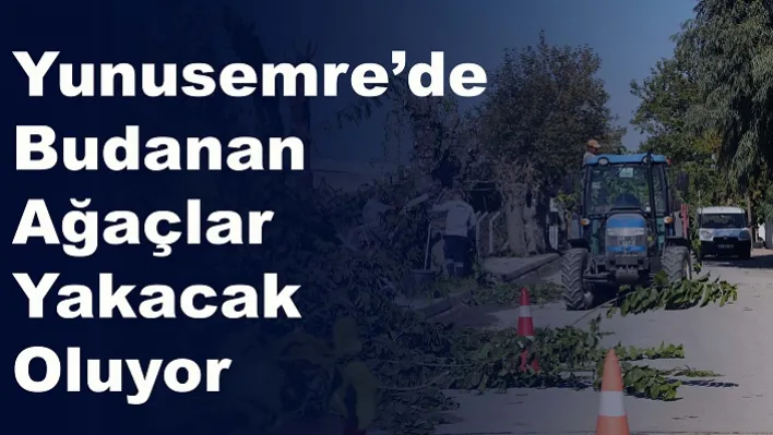 Budanan Ağaçlar İhtiyaç Sahiplerine Yakacak Odun Oluyor