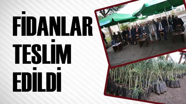 FİDANLAR TESLİM EDİLDİ