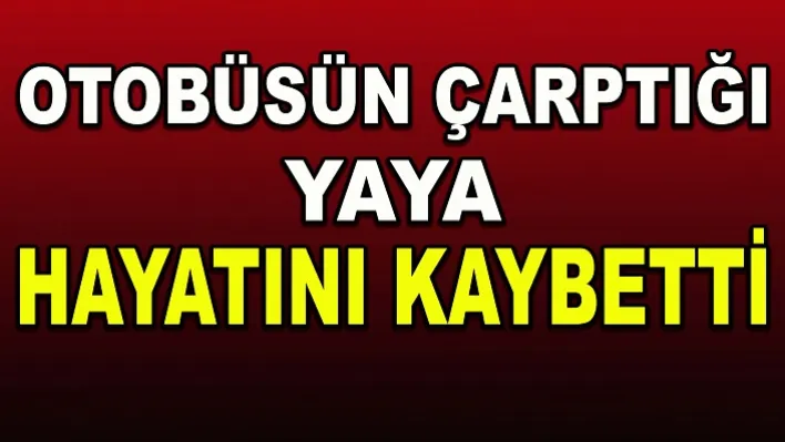 Manisa'da otobüsün çarptığı yaya hayatını kaybetti