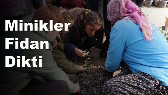 Minikler Fidan Dikti