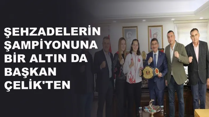 Şehzadelerin Şampiyonuna Bir Altın Da Başkan Çelik'ten