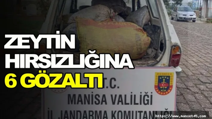 Zeytin Hırsızlığına 6 Gözaltı