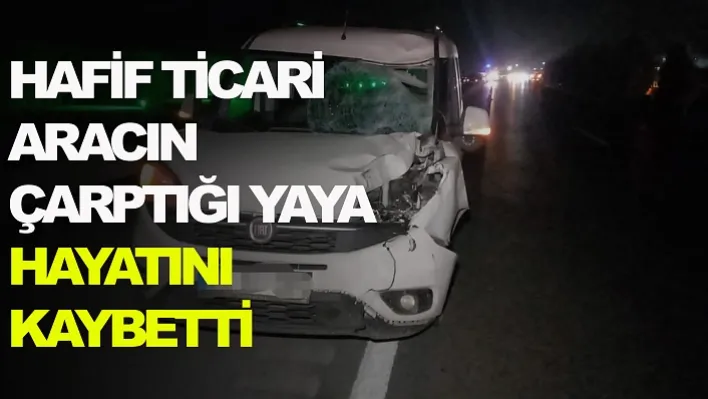 Manisa'da Hafif Ticari Aracın Çarptığı Yaya Hayatını Kaybetti