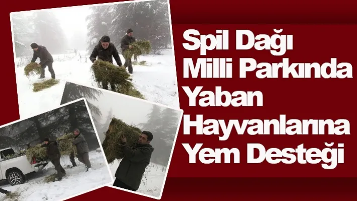 Spil Dağı Milli Parkında Yaban Hayvanlarına Yem Desteği