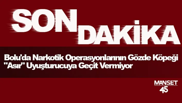 Bolu'da Narkotik Operasyonlarının Gözde Köpeği &quotAsır" Uyuşturucuya Geçit Vermiyor