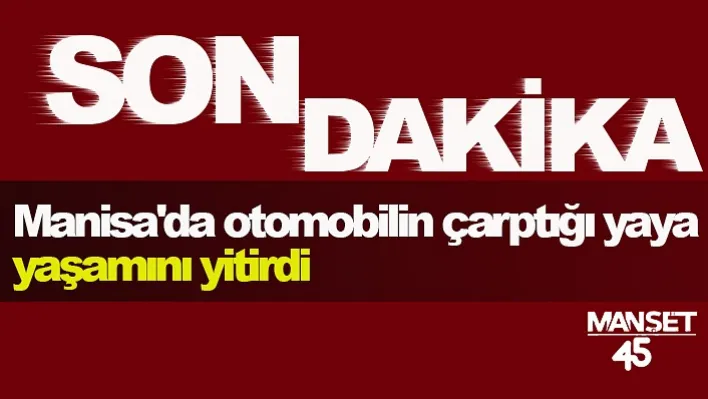 Manisa'da otomobilin çarptığı yaya hayatını kaybetti