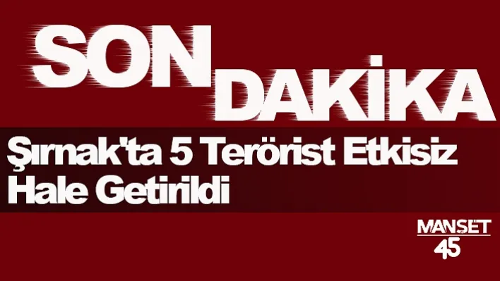 Şırnak'ta 5 Terörist Etkisiz Hale Getirildi