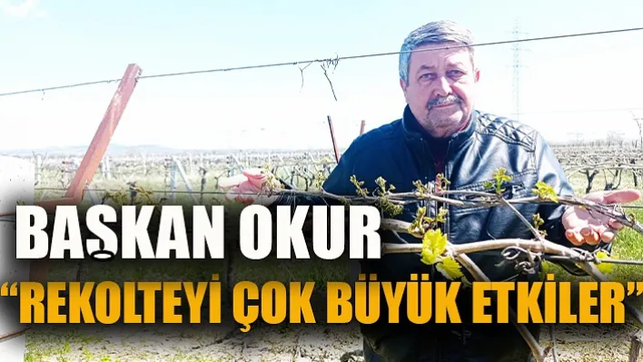 Başkan Okur:  'Rekolteyi Çok Büyük Etkiler'