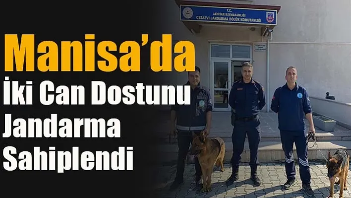 Manisa'da İki Can Dostunu Jandarma Sahiplendi