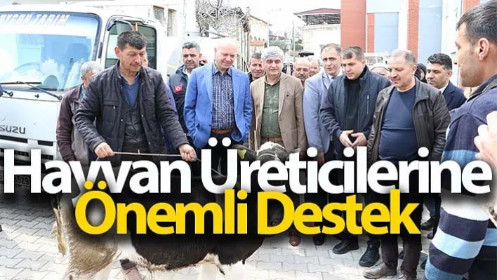 Kulalı Hayvan Üreticilerine Önemli Destek