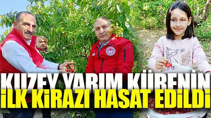 Kuzey Yarım Kürenin İlk Kirazı Hasat Edildi!