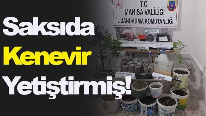 Manisa'da Saksıda Kenevir Operasyonu!