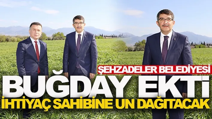 Şehzadeler Belediyesi Buğday Ekti, İhtiyaç Sahibine Un Dağıtacak