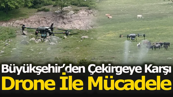 Büyükşehir'den Drone İle İlaçlama!