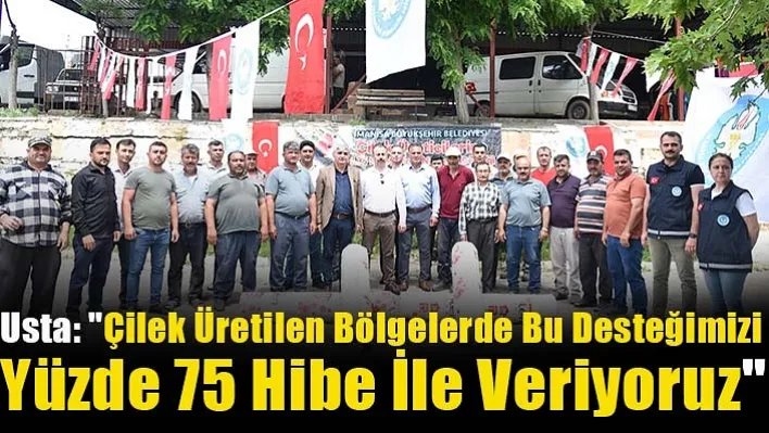 Usta: "Çilek Üretilen Bölgelerde Bu Desteğimizi Yüzde 75 Hibe İle Veriyoruz"