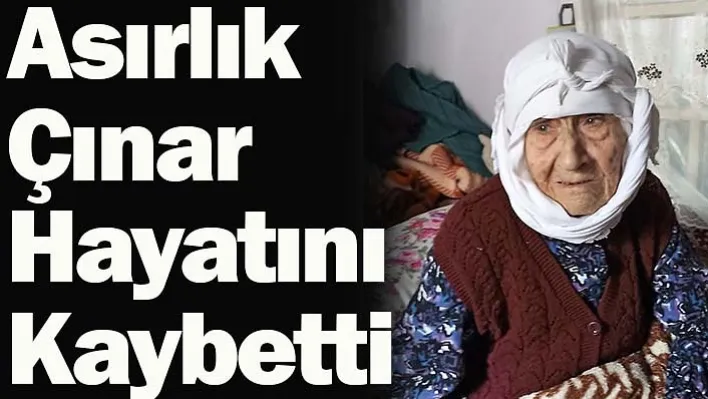 3 Padişah, 12 Cumhurbaşkanı Gören Asırlık Çınar Hayatını Kaybetti