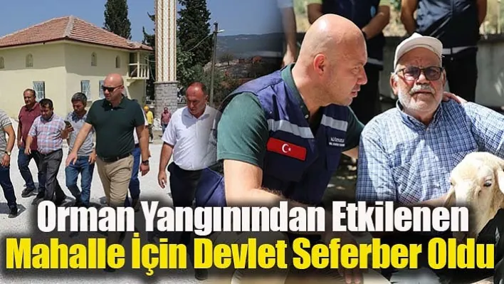 Orman yangınından etkilenen mahalle için devlet seferber oldu