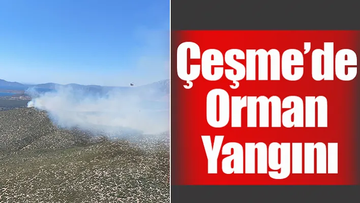 Çeşme'de Orman Yangını Başladı!