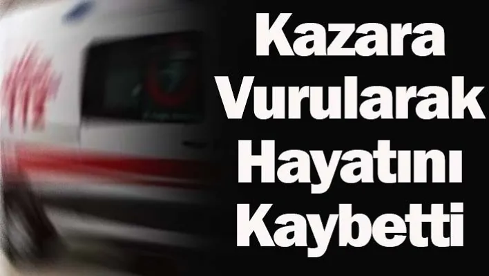 Domuz Avına Giden İmam Kazara Vurularak Hayatını Kaybetti