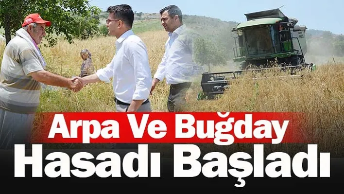 İlçede Arpa Ve Buğday Hasadı Başladı