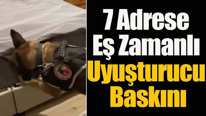 İzmir'de 7 Adrese Eş Zamanlı Uyuşturucu Baskını!