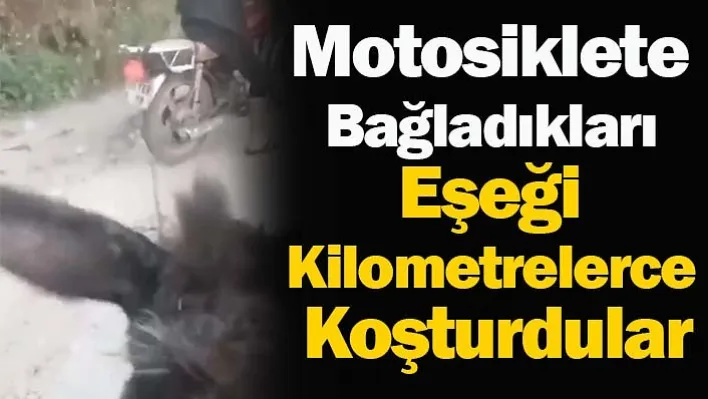 İzmir'de Motosiklete Bağladıkları Eşeği Kilometrelerce Koşturdular