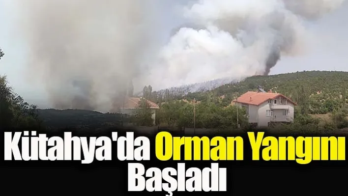 Kütahya'da Orman Yangını Başladı