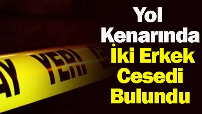 Manisa'da Yol Kenarında İki Erkek Cesedi Bulundu