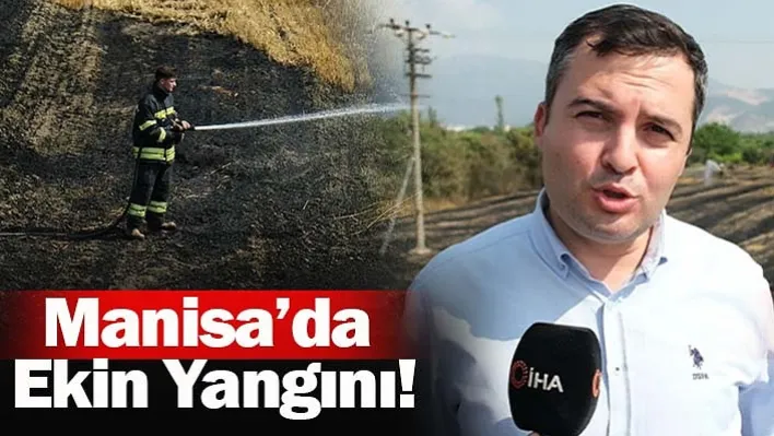 Manisa'da Ekin Yangını!