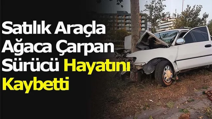 Satılık Araçla Ağaca Çarpan Sürücü Öldü!