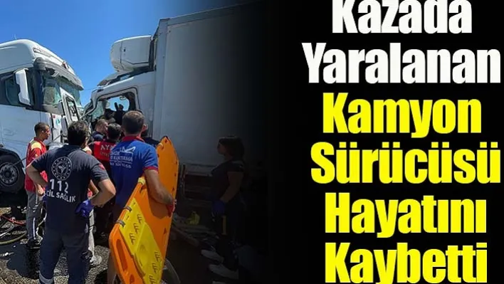 Söke'de Kazada Yaralanan Kamyon Sürücüsü Hayatını Kaybetti