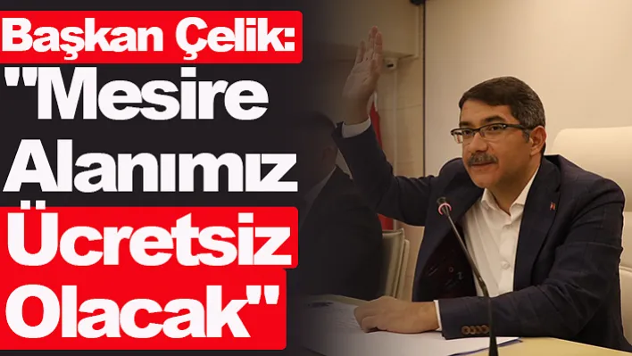 Başkan Çelik: "Mesire alanımız ücretsiz olacak"