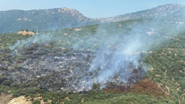 Araç yangını ormana sıçradı, havadan müdahale başladı