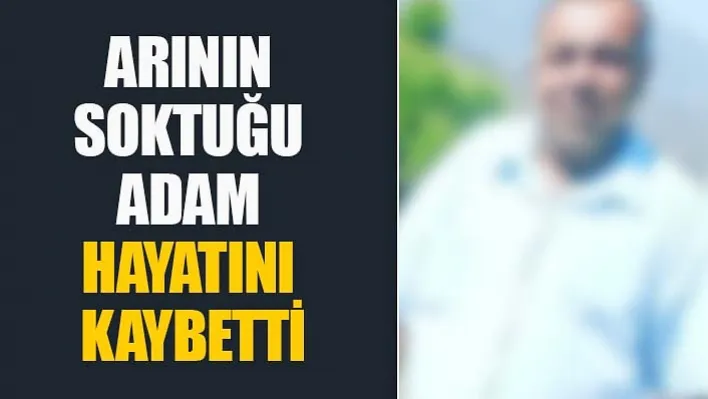 Aydın'da Arının Soktuğu Adam Öldü