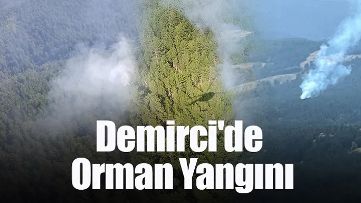 Demirci'de orman yangını