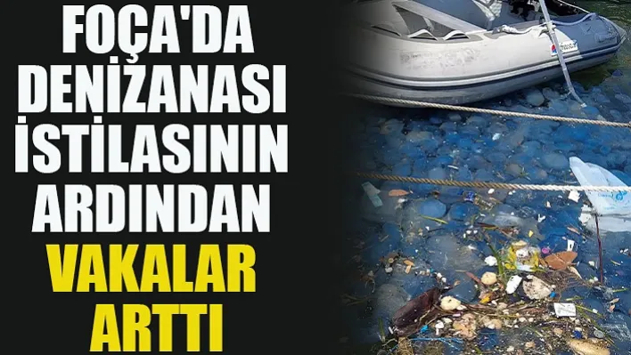 Foça'da Denizanası İstilasının Ardından Vakalar Arttı