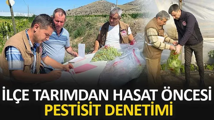 İlçe Tarımdan Hasat Öncesi Pestisit Denetimi