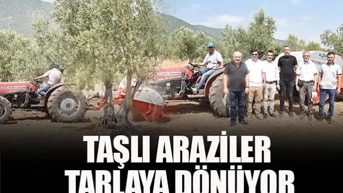 İlçede Taşlı Araziler Tarlaya Dönüyor