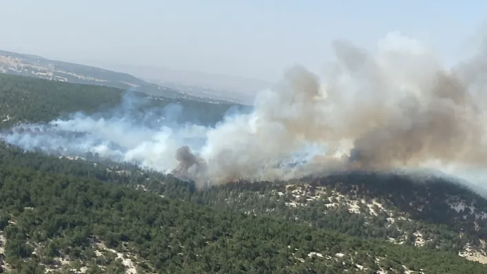 Kütahya'da orman yangını