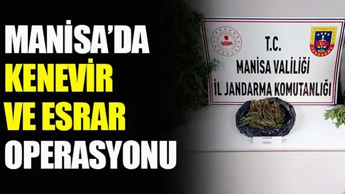 Manisa'da Kenevir Ve Esrar Operasyonu