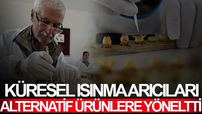 Manisa'da Küresel ısınmanın etkilediği arıcılar kendilerini eğitimle geliştiriyor